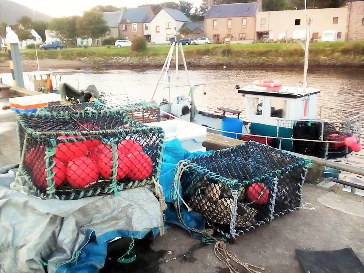 Song Of The Sea, Selkie House Bed & Breakfast Helmsdale Luaran gambar