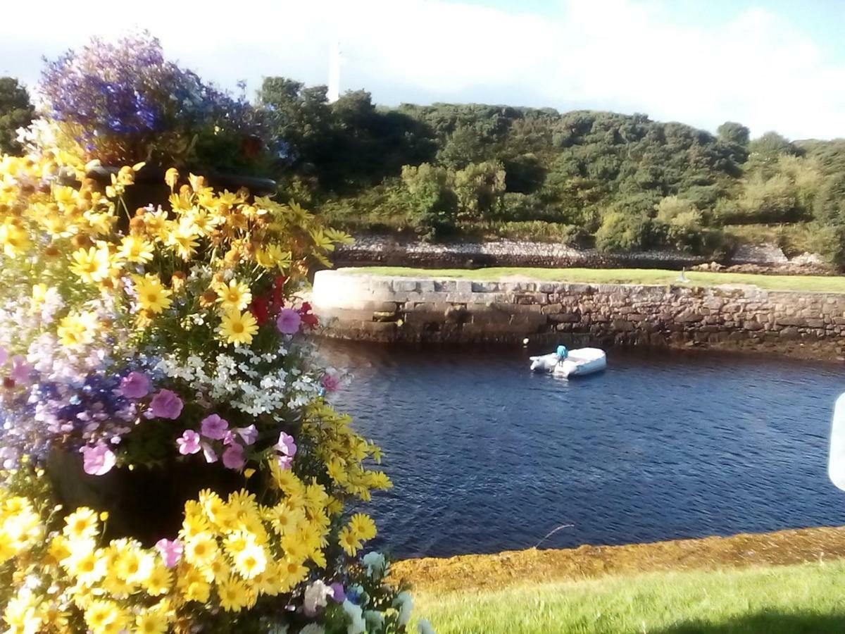 Song Of The Sea, Selkie House Bed & Breakfast Helmsdale Luaran gambar