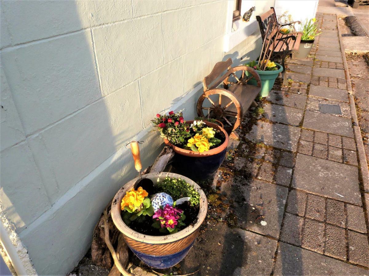 Song Of The Sea, Selkie House Bed & Breakfast Helmsdale Luaran gambar