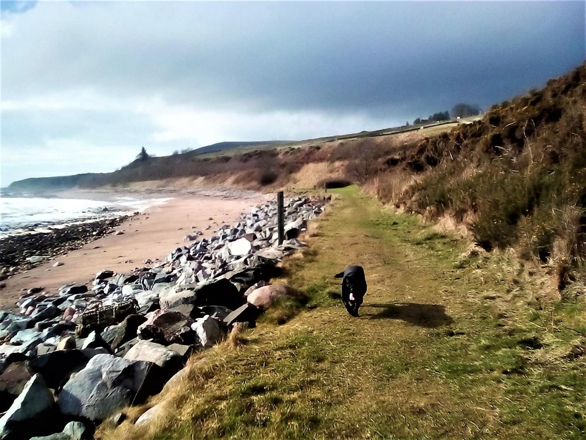 Song Of The Sea, Selkie House Bed & Breakfast Helmsdale Luaran gambar